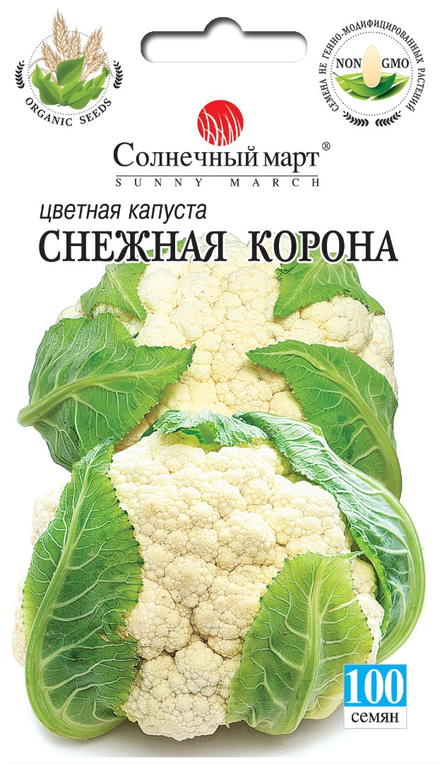 Капуста Снежная корона